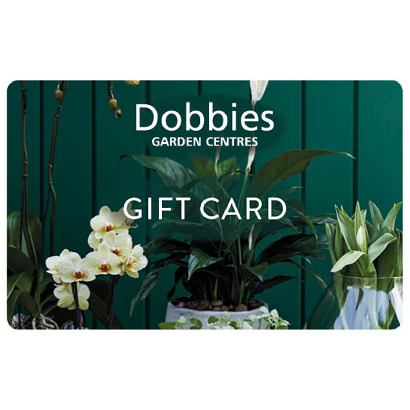 Dobbies Houseplants Gift Card Dobbies Garden Centres
